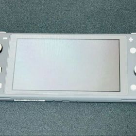 Nintendo Switch Lite 本体 グレー 2024年