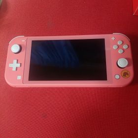 Nintendo Switch Lite あつまれどうぶつの森 本体 カスタム品