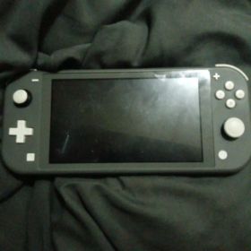 Nintendo Switch Lite グレー 本体