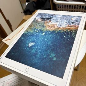 Apple iPad Pro 12.9インチ（第2世代）Wi-Fi 256GB