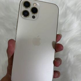 Apple iPhone 12 Pro Max 本体