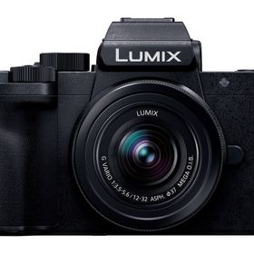 パナソニック デジタル一眼カメラ LUMIX DC-G100K 標準ズームレンズキット