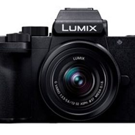 ★Panasonic / パナソニック LUMIX DC-G100DK レンズキット