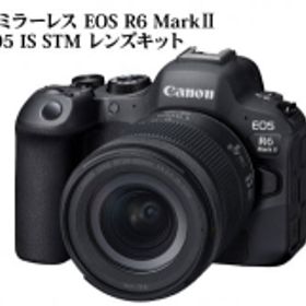 【ふるさと納税】キヤノンミラーレスカメラ EOS R6 Mark ？・RF24-105 IS STM レンズキット CANON キャノン 大分市 ミラーレス 一眼 アウ