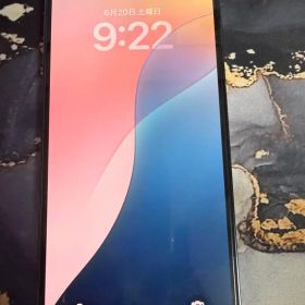 Apple iPhone 13 Pro Max 256GB本体 シエラブルー