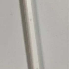 Apple Pencil 本体 純正 第2世代
