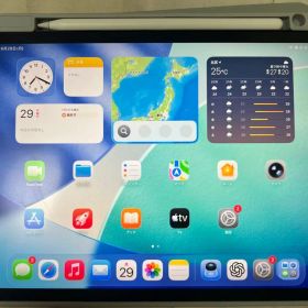 Apple iPad Pro 2018 11インチ 本体