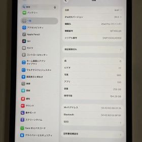 Apple iPad Pro 11インチ 本体 256GB MTXR2J/A