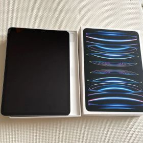 Apple iPad Pro 第4世代 256GB 11インチ Wi-Fiモデル