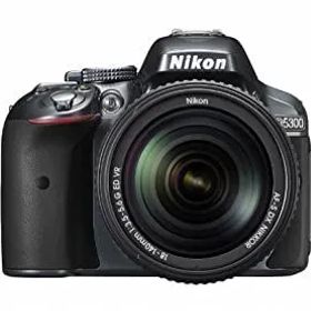 Nikon デジタル一眼レフカメラ D5300 18-140VR レンズキット グレー D5300LK18-140VRGY