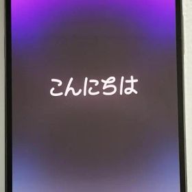 【超美品】iPhone 14 Pro max ディープパープル 128GB