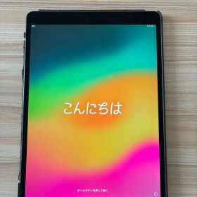 Apple iPad Pro 10.5インチ 本体