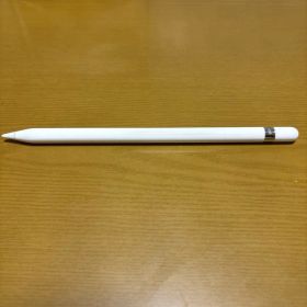 Apple Pencil 第1世代 本体 充電アダプタ Type-C変換コード付