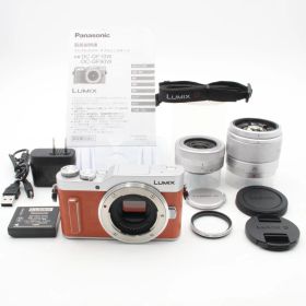 ショット数677 【極美品】 Panasonic パナソニック Lumix G DC-GF10 ダブルレンズキット ルミックス 12-32mm 25mm 112014