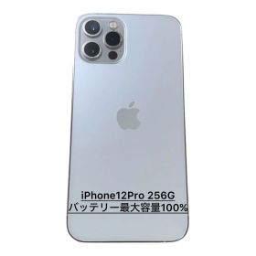Apple iPhone 12 Pro 256GB 本体 充電容量100%