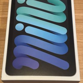 Apple iPad mini 7 Wi-Fi 128GB 100% バッテリー