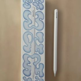 【美品】Apple Pencil Pro 本体 【使用回数僅少】