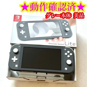 【美品】Nintendo Switch Lite グレー 本体