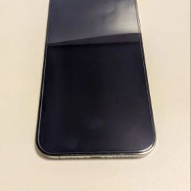iPhone 12 Pro Max グラファイト 256 GB SIMフリー