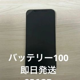 Apple iPhone 12 Pro max本体 ホワイト バッテリー100