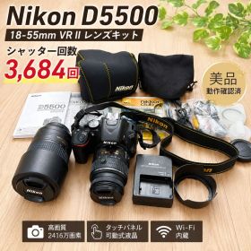 【美品】Nikon D5500 18-55mm VR II シャッター3684回