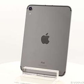 〔中古品〕 iPad mini 第6世代 256GB スペースグレイ MK8F3J／A SIMフリー ［8.3インチ液晶／A15-Bionic］〔中古品〕 iPad mini 第6世代 256GB スペースグレイ MK8F3J／A SIMフリー ［8.3インチ液晶／A15-Bionic］