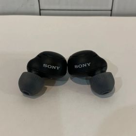 M-18 SONY ワイヤレス ステレオ ヘッドセット WF-C500