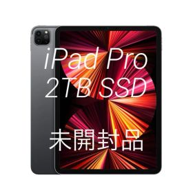 未開封品 2TB iPad Pro 11インチ スペースグレイ M1 プロセッサ