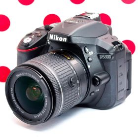 ニコン Nikon D5300❤Wi-Fi搭載&自撮り❤動画もバッチリ❤超高画質