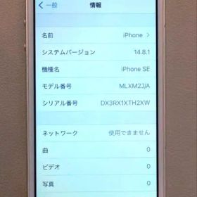 Apple iPhone SE 第1世代16GB 寺田克也ケース付き
