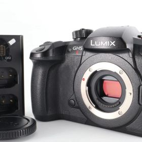 【良品】《 ショット数 4711回》パナソニック(Panasonic) ミラーレス一眼カメラ ルミックス GH5M2 ボディ ブラック DC-GH5M2