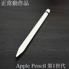 Apple 正常動作品 Apple Pencil 第1世代 S8