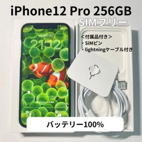 Apple iPhone 12 Pro 256GB SIMフリー 本体