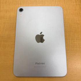 Apple iPad mini 本体