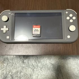 Switch ライト&大乱闘スマッシュブラザーズ