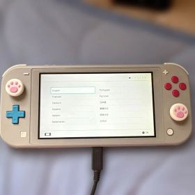 Nintendo Switch Lite ザシアン・ザマゼンタ 本体