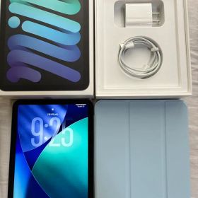 BT100% iPad mini6 64GB セルラー 箱付