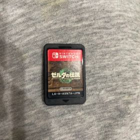 ゼルダの伝説 ティアーズ オブ ザ キングダム Switch ソフト