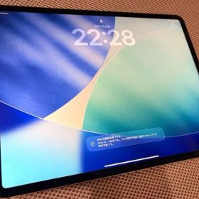 Apple iPad Pro 12.9 Cellularモデル 512GB 本体