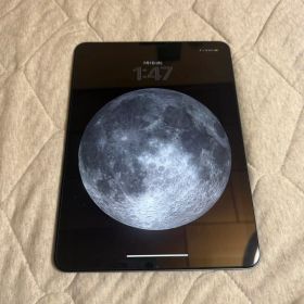 Apple iPad Air 第4世代 64GB 本体