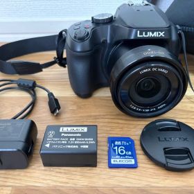 Panasonic LUMIX DC-FZ85 4K SDケース付