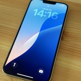 iPhone 13 Pro Max 256GB
