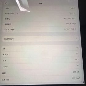Apple iPad 第9世代 256GB 本体