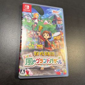 Switch 牧場物語 Let's!風のグランドバザール