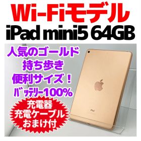 iPad mini5本体 64GB WIFIモデル1393 電池状態100%