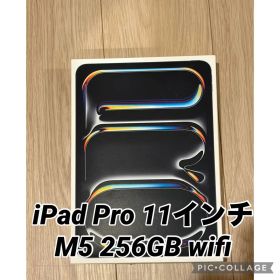Apple iPad Pro 11インチ 256GB Wi-Fiモデル M5