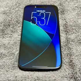 【美品】iPhone 16 Pro 256GB