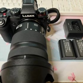 Panasonic DC-S5 24-105mm