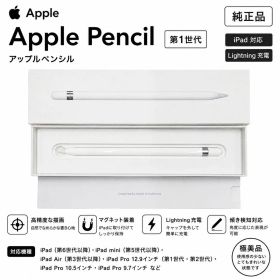 【純正✨】Apple Pencil 第1世代 本体 付属品付き