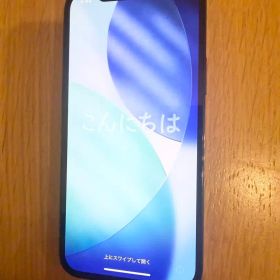 Apple iPhone 12 Pro 本体 128gb おまけ付き radus